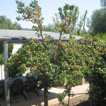 Primavera Apartament