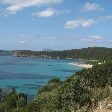 Primavera Villa San Pietro